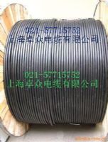 上海卓眾電線電纜